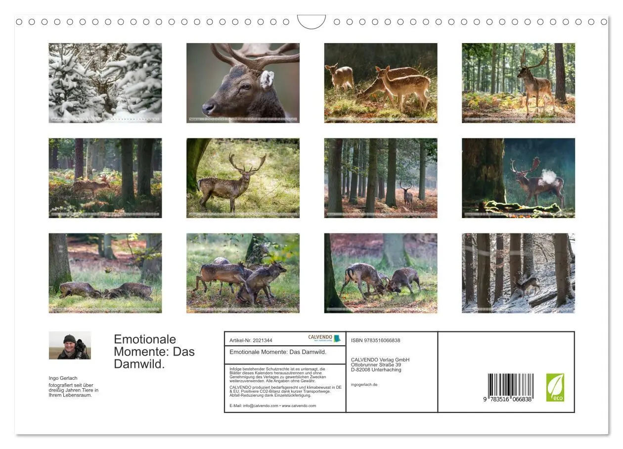 Bild: 9783516066838 | Emotionale Momente: Das Damwild. (Wandkalender 2026 DIN A3 quer),...
