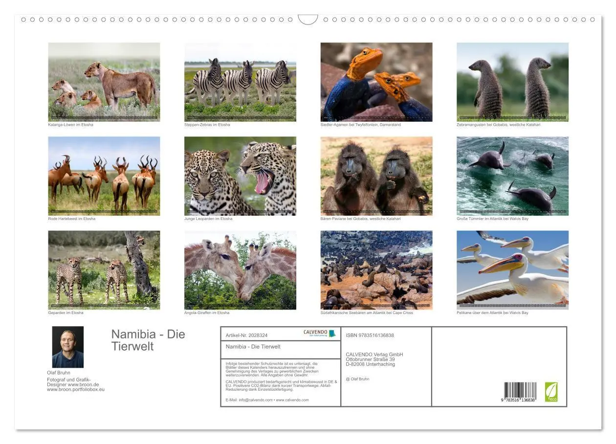 Bild: 9783516136838 | Namibia - Die Tierwelt (Wandkalender 2026 DIN A2 quer), CALVENDO...