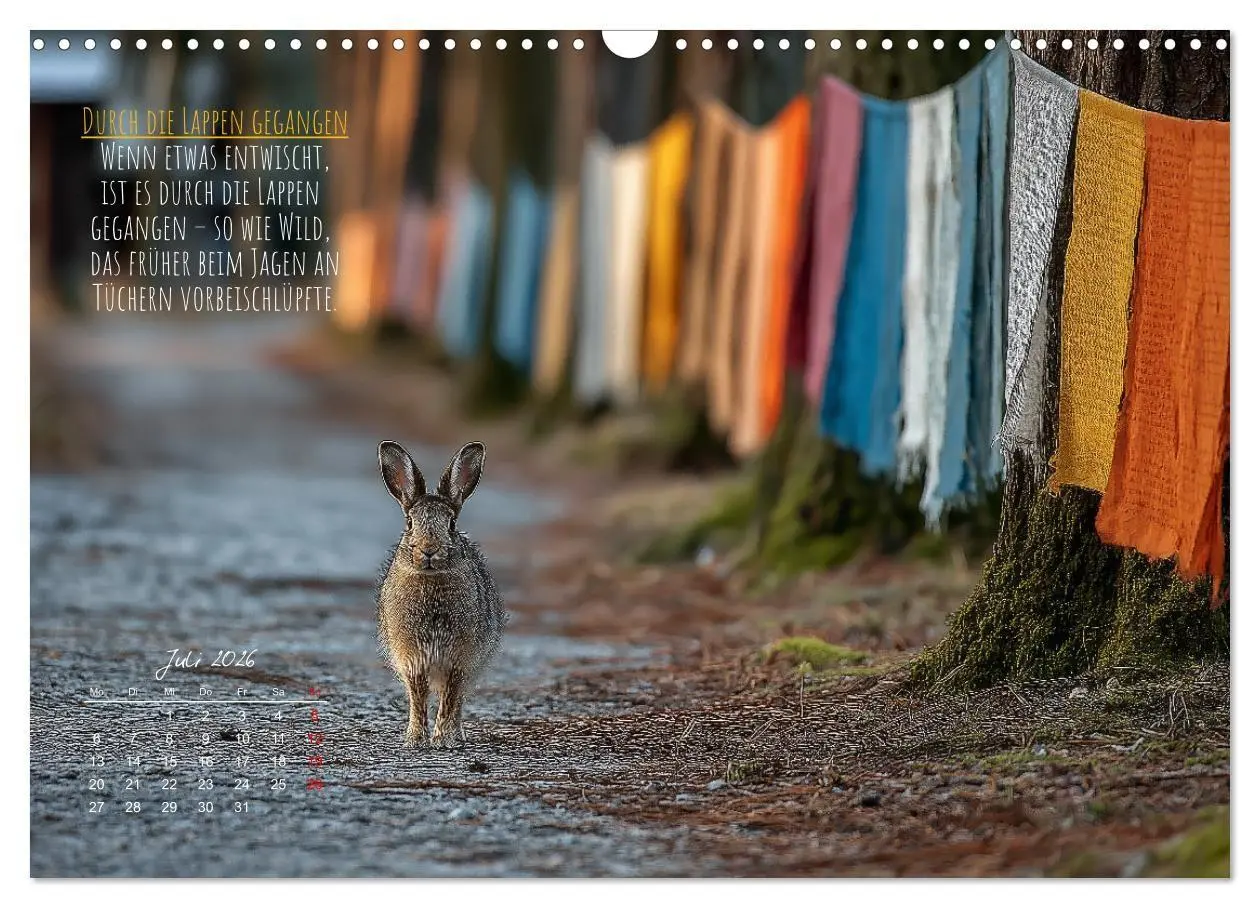 Bild: 9783516686838 | Nicht 08/15 - Deutsche Redewendungen und ihre Herkunft...