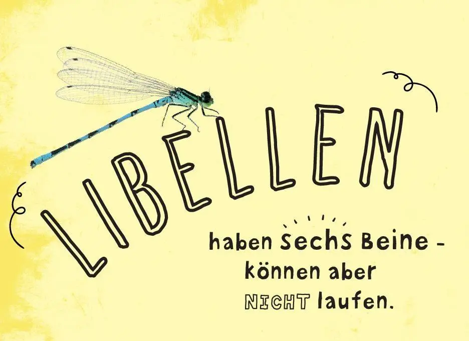 Bild: 9783849946838 | Fun Facts I Unnützes Wissen für Kids ab 8 Jahren | Anne Jansen | Buch