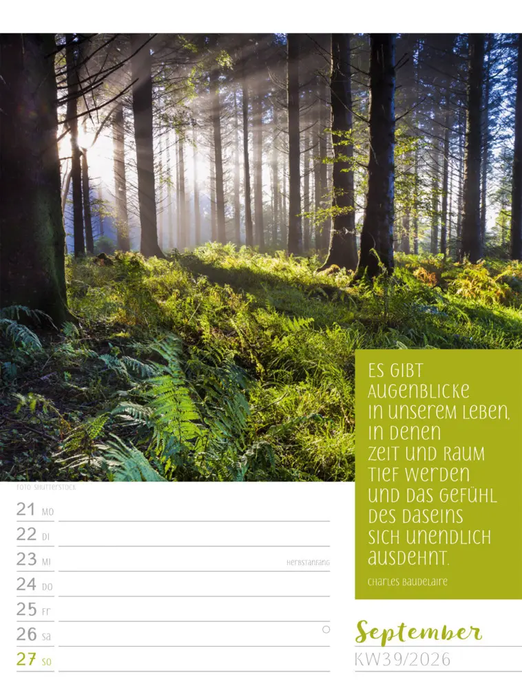 Bild: 9783838426938 | Augenblicke der Achtsamkeit Wochenplaner Kalender 2026 | GmbH | 2026