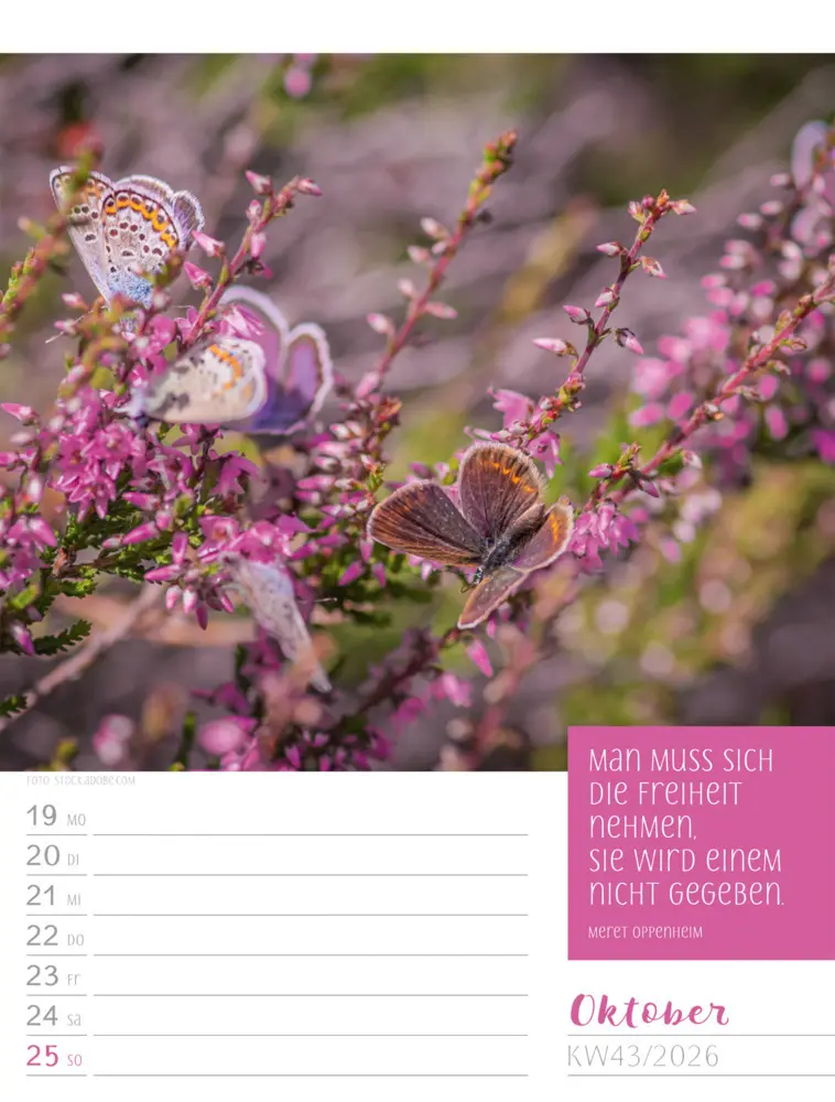 Bild: 9783838426938 | Augenblicke der Achtsamkeit Wochenplaner Kalender 2026 | GmbH | 2026