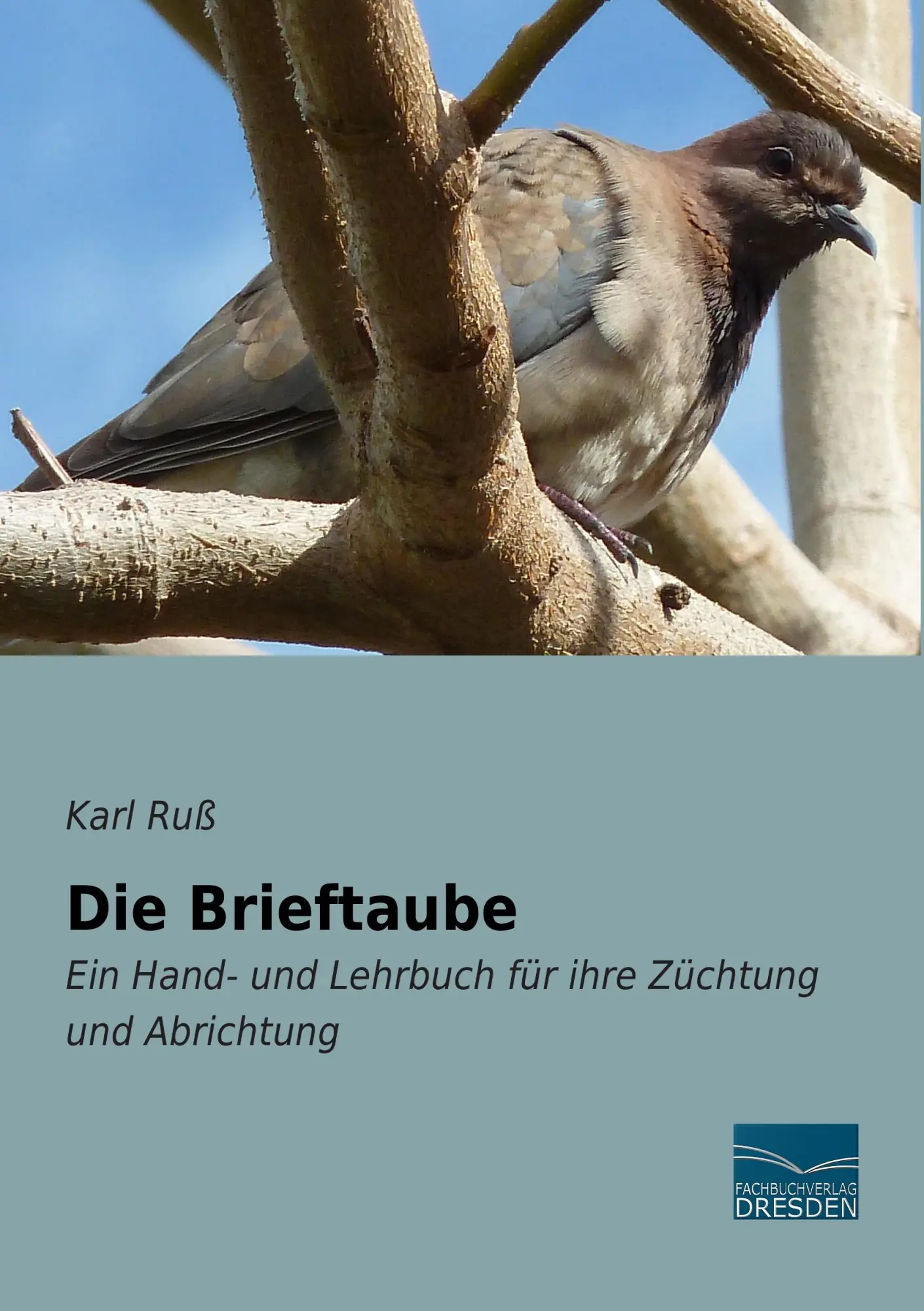 Cover: 9783956926938 | Die Brieftaube | Karl Ruß | Taschenbuch | 492 S. | Deutsch | 2015