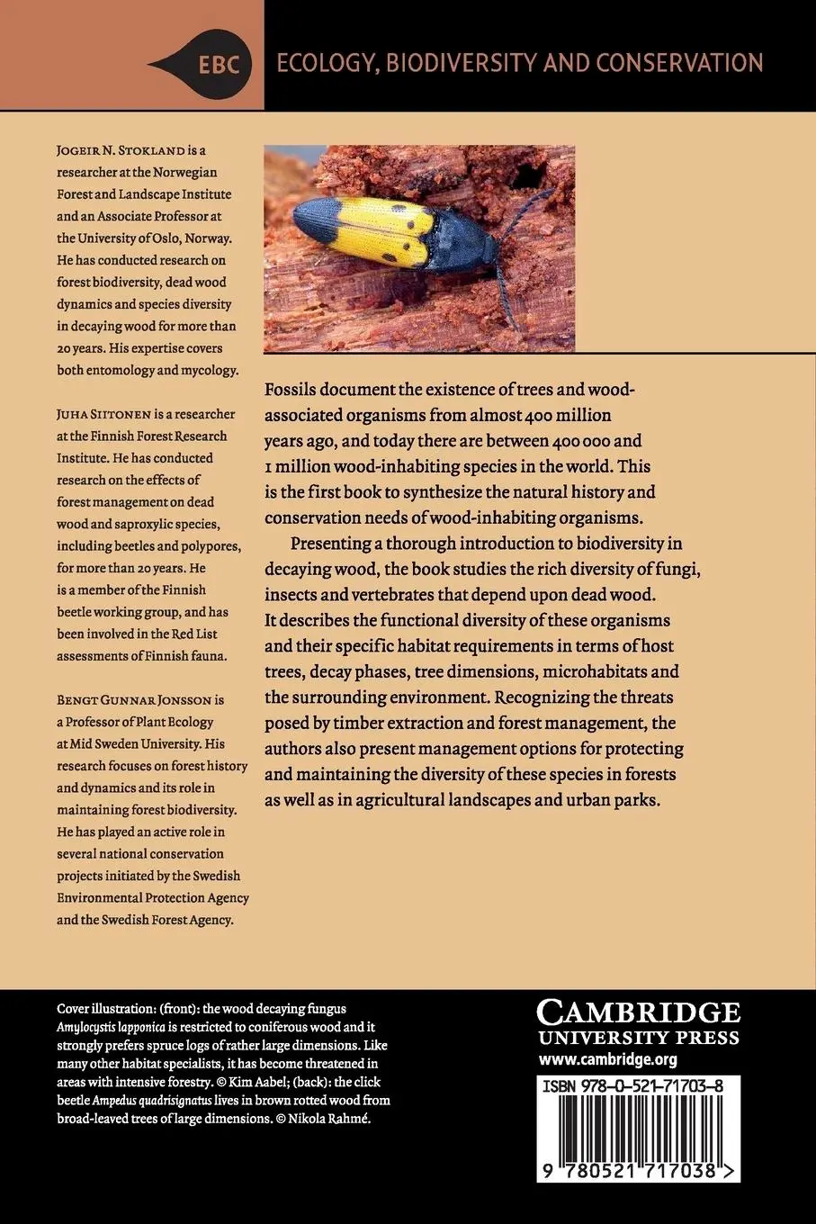 Rückseite: 9780521717038 | Biodiversity in Dead Wood | Jogeir N. Stokland (u. a.) | Taschenbuch