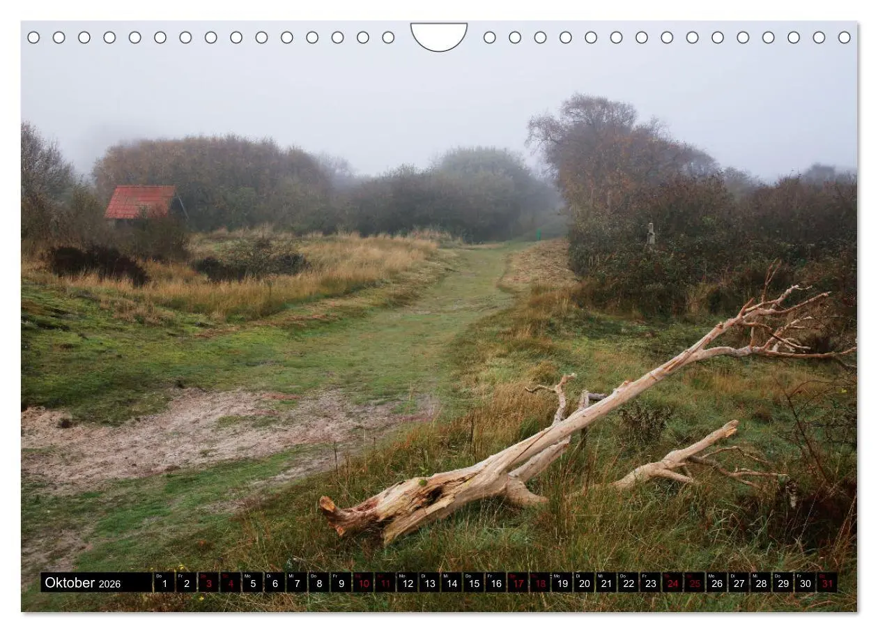 Bild: 9783457307038 | Insel Baltrum, Perle im Ostfriesischen Wattenmeer (Wandkalender...