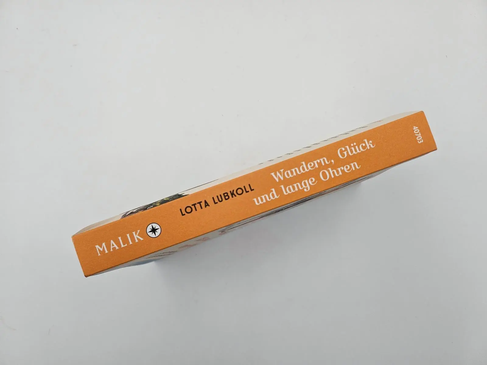 Bild: 9783492407038 | Wandern, Glück und lange Ohren | Lotta Lubkoll | Taschenbuch | 288 S.