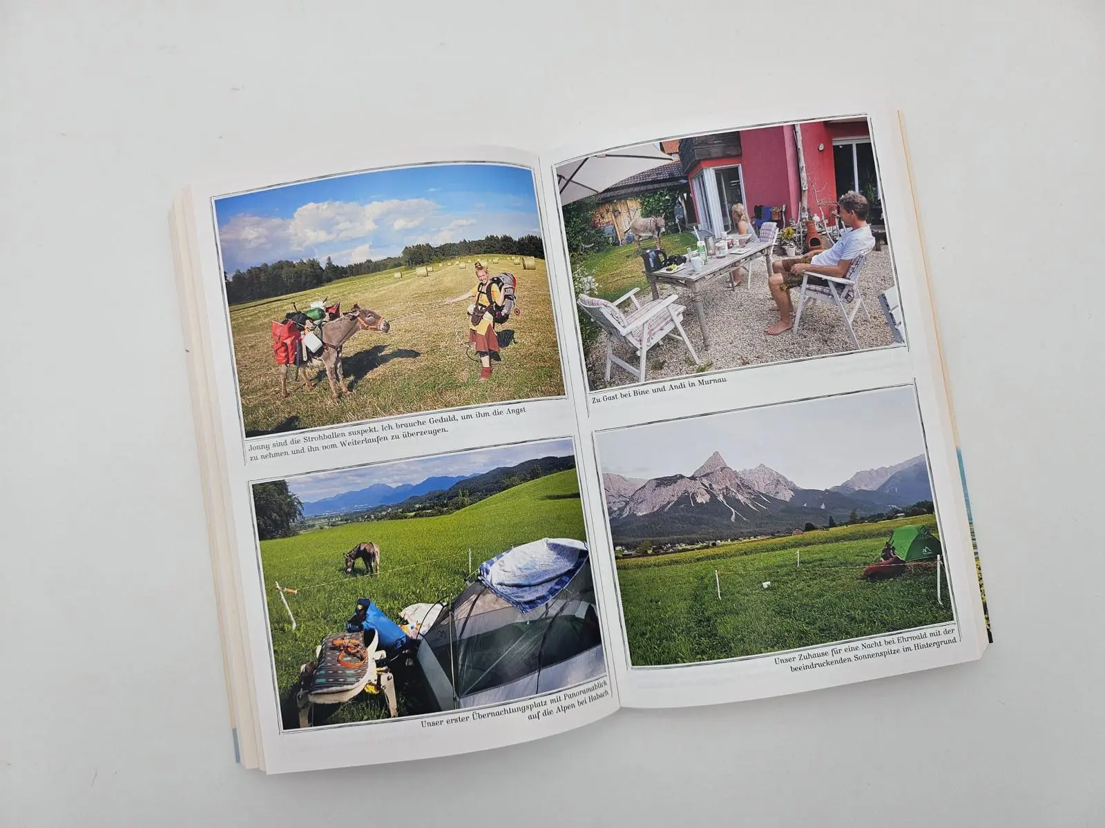 Bild: 9783492407038 | Wandern, Glück und lange Ohren | Lotta Lubkoll | Taschenbuch | 288 S.