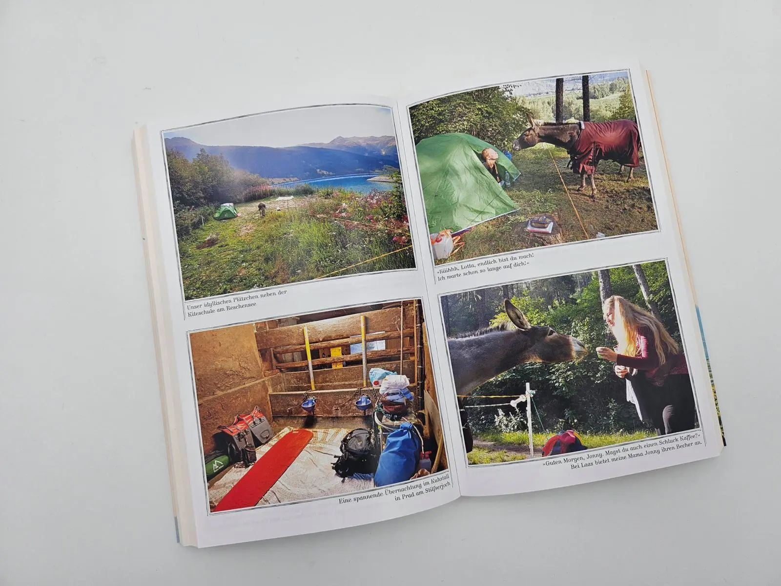 Bild: 9783492407038 | Wandern, Glück und lange Ohren | Lotta Lubkoll | Taschenbuch | 288 S.