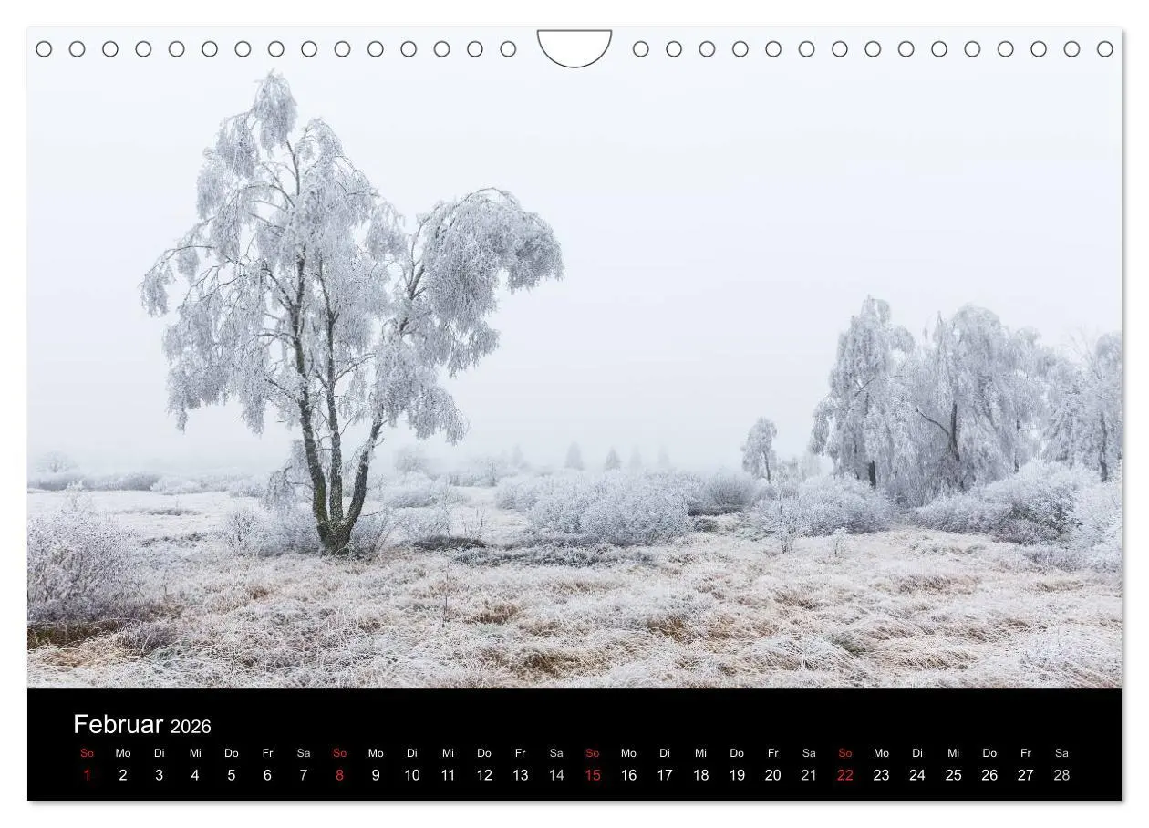Bild: 9783516017038 | HOHES VENN - Einblicke in ein Hochmoor (Wandkalender 2026 DIN A4...
