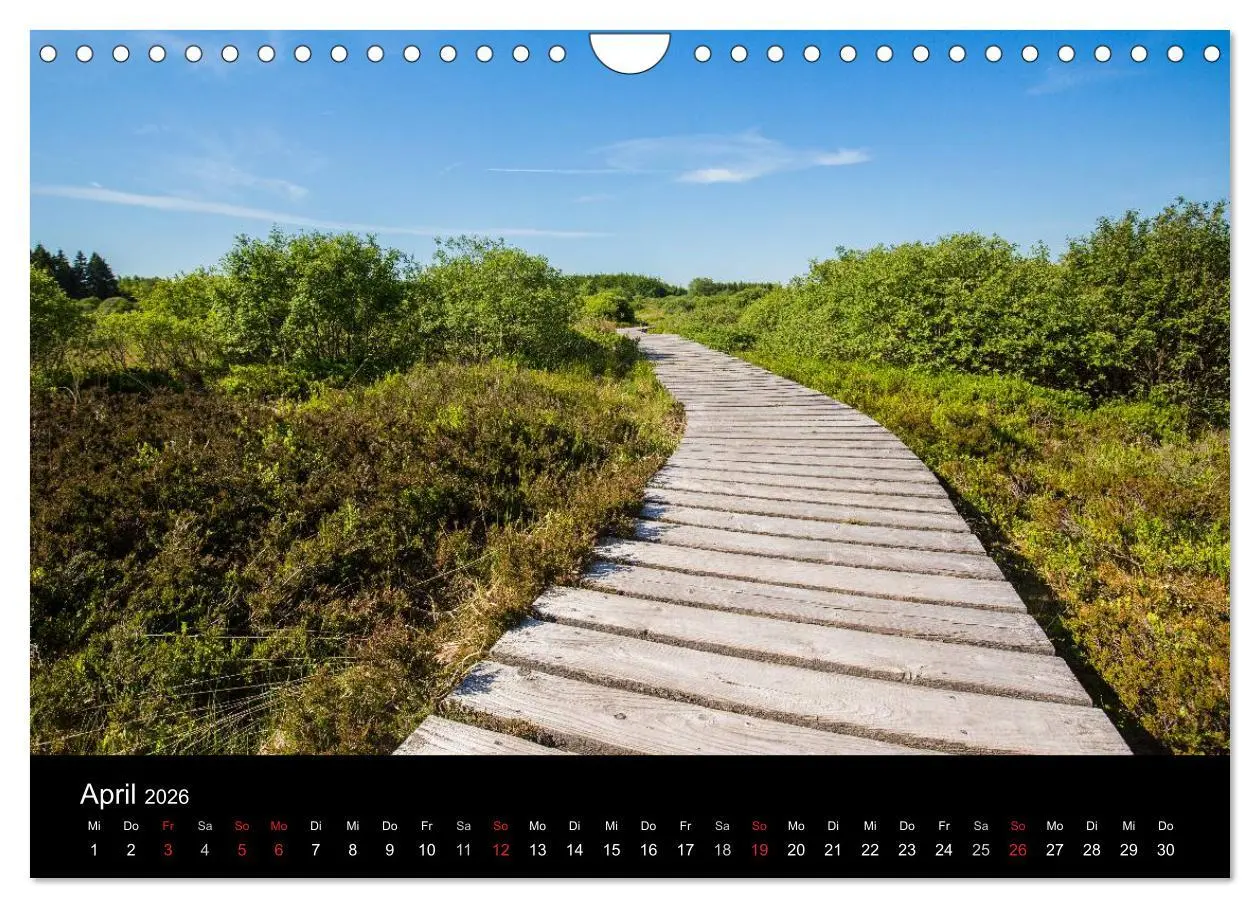Bild: 9783516017038 | HOHES VENN - Einblicke in ein Hochmoor (Wandkalender 2026 DIN A4...