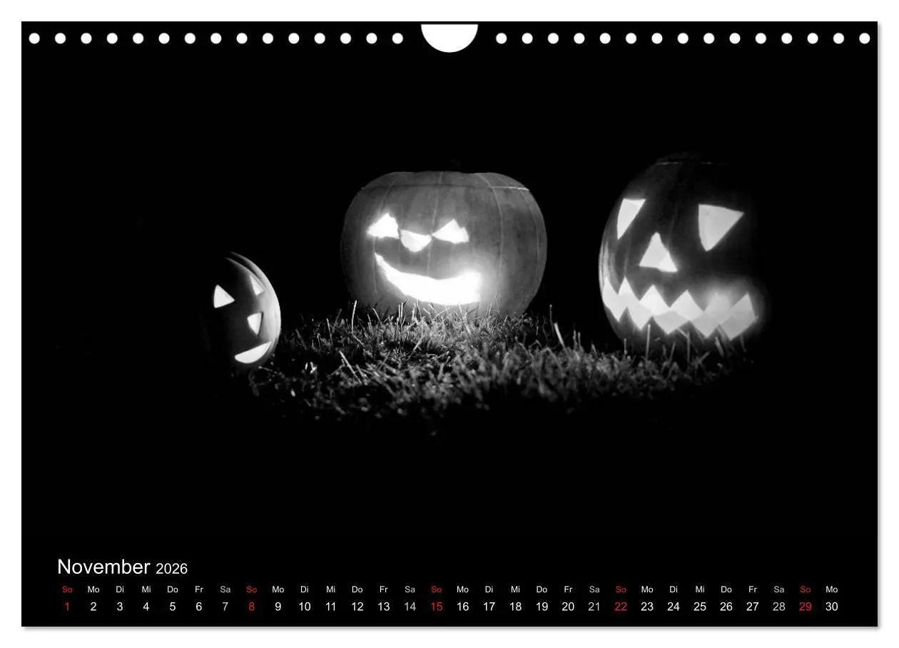 Bild: 9783516177138 | Hexen (Wandkalender 2026 DIN A4 quer), CALVENDO Monatskalender | 2026