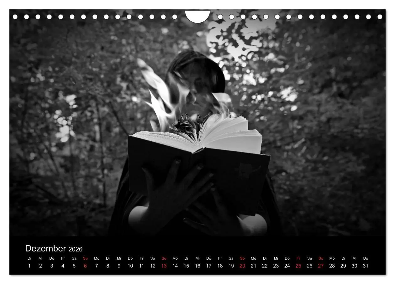 Bild: 9783516177138 | Hexen (Wandkalender 2026 DIN A4 quer), CALVENDO Monatskalender | 2026