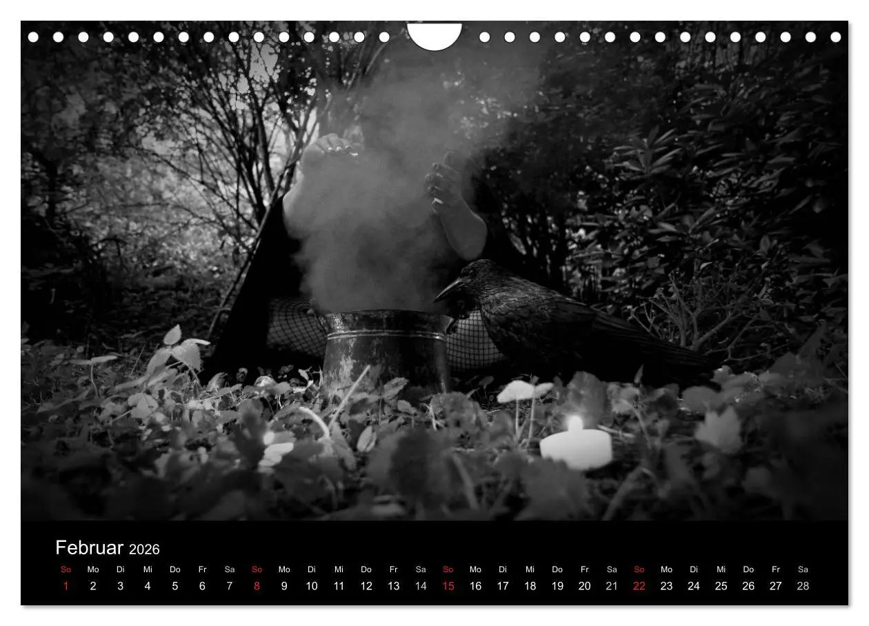 Bild: 9783516177138 | Hexen (Wandkalender 2026 DIN A4 quer), CALVENDO Monatskalender | 2026