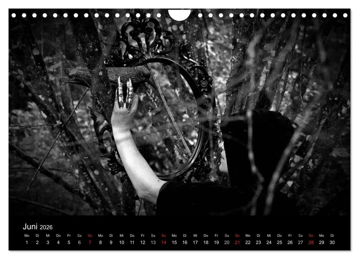 Bild: 9783516177138 | Hexen (Wandkalender 2026 DIN A4 quer), CALVENDO Monatskalender | 2026