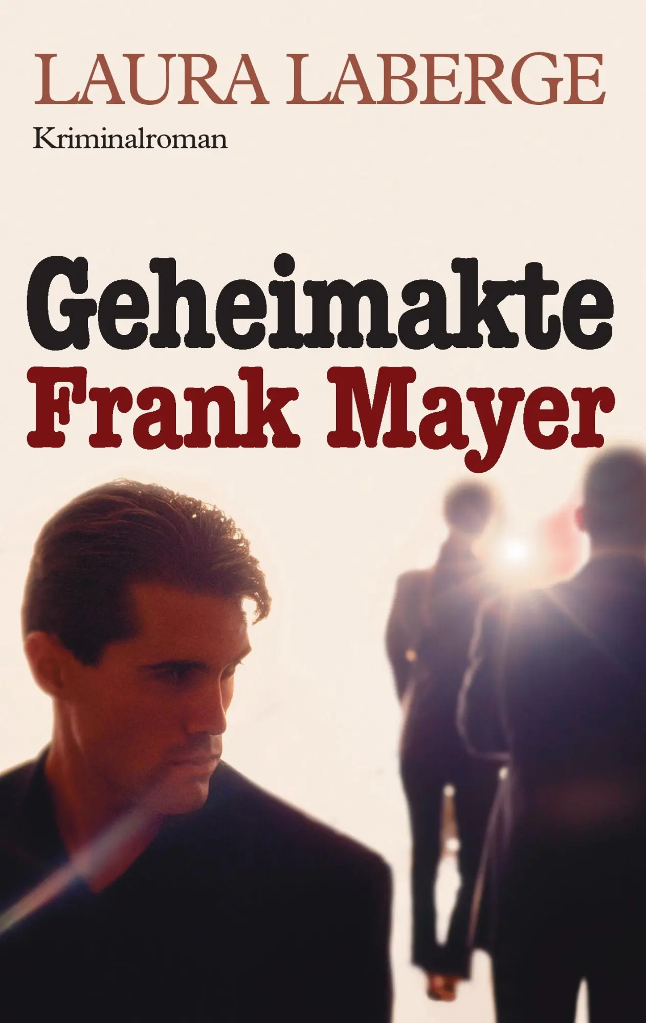 Cover: 9783738627138 | Geheimakte Frank Mayer | Kriminalroman | Laura Laberge | Taschenbuch
