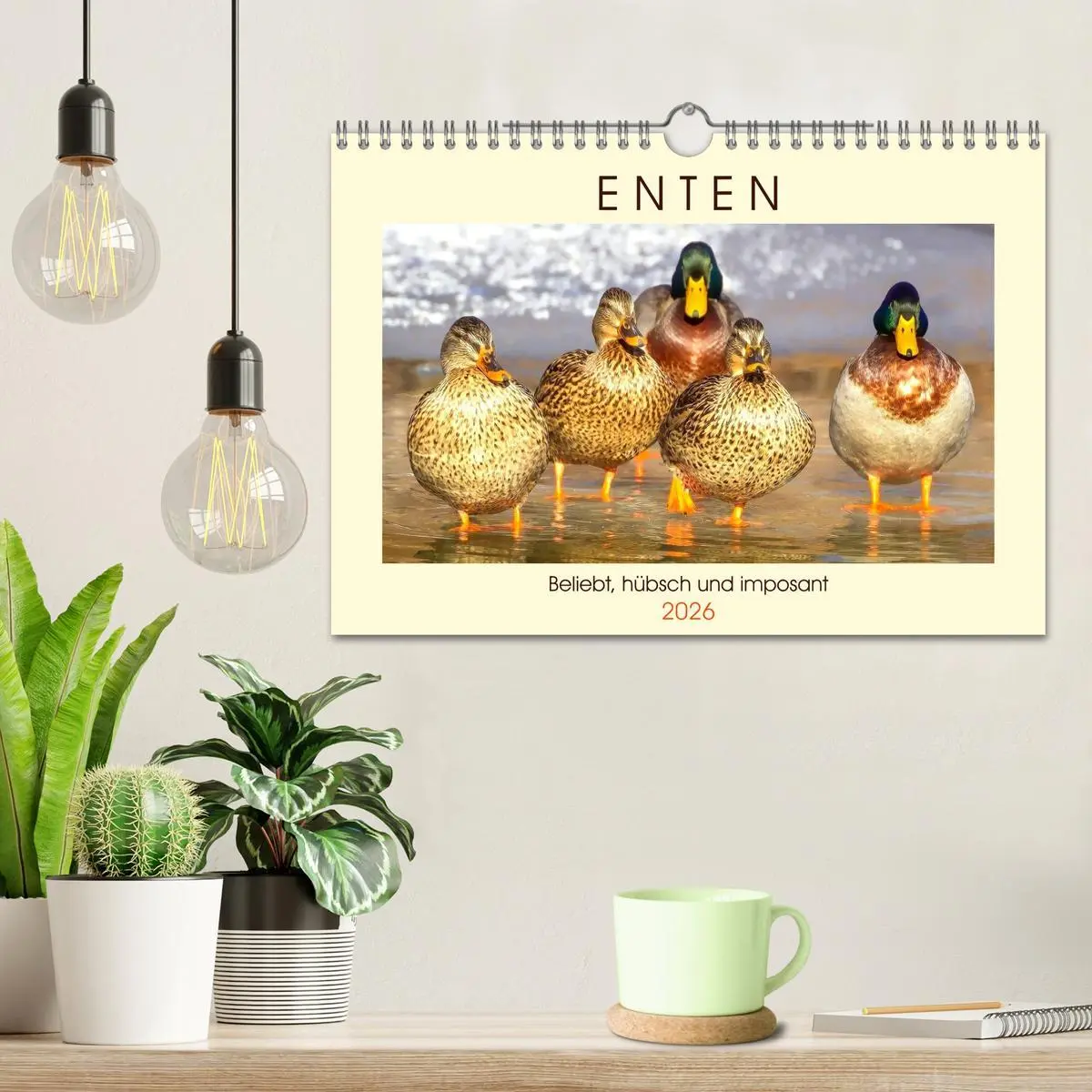 Bild: 9783457827338 | Enten. Beliebt, hübsch und imposant (Wandkalender 2026 DIN A4...