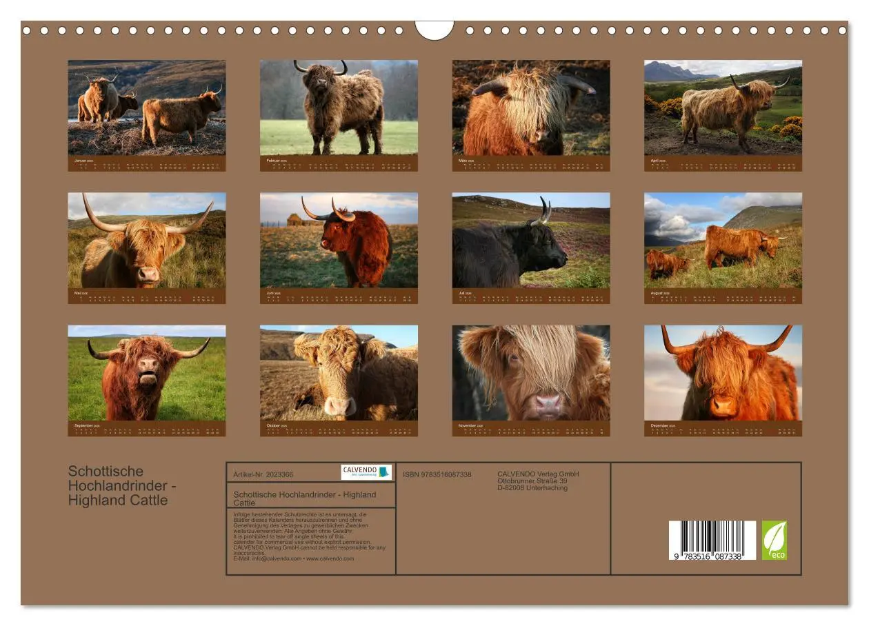 Bild: 9783516087338 | Schottische Hochlandrinder - Highland Cattle (Wandkalender 2026 DIN...