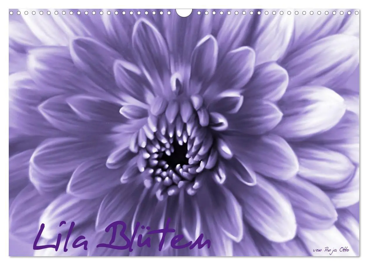 Cover: 9783516227338 | Lila Blüten (Wandkalender 2026 DIN A3 quer), CALVENDO Monatskalender