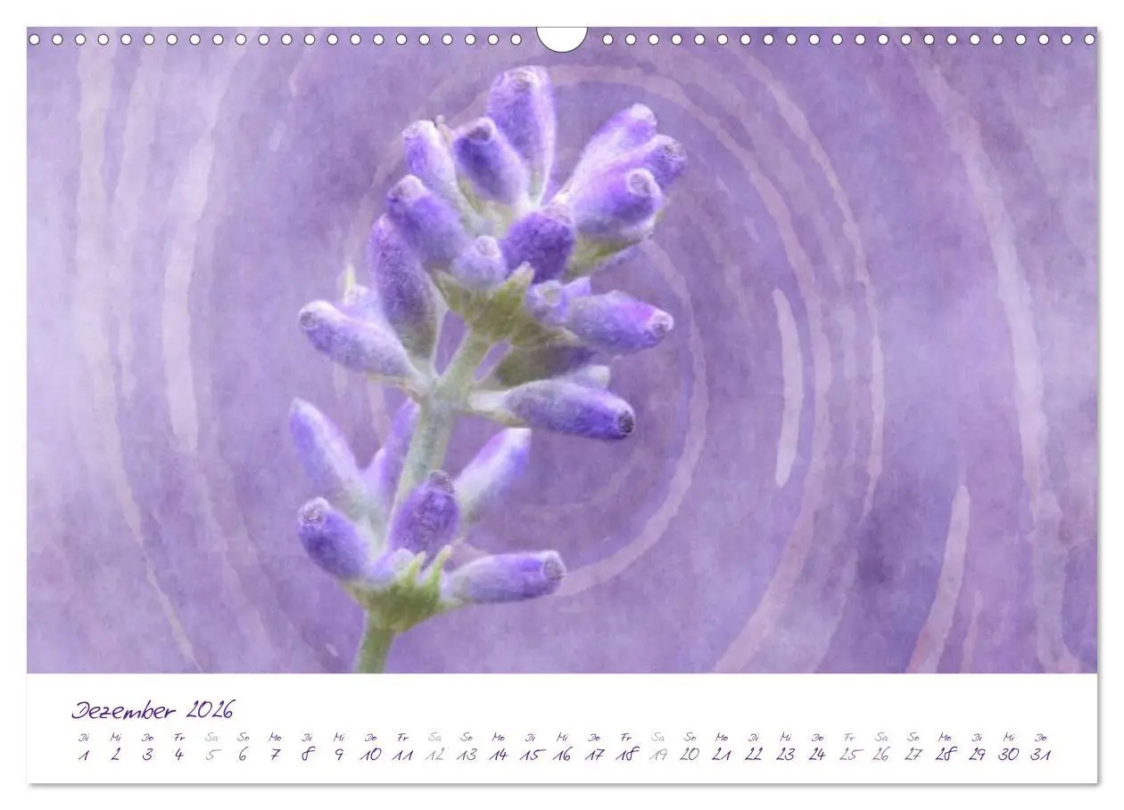 Bild: 9783516227338 | Lila Blüten (Wandkalender 2026 DIN A3 quer), CALVENDO Monatskalender