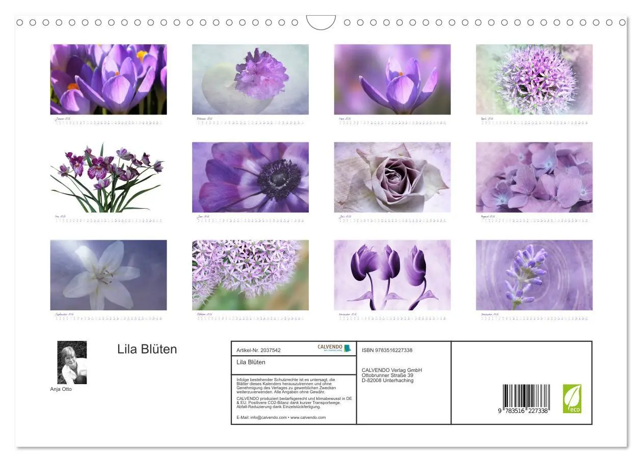 Bild: 9783516227338 | Lila Blüten (Wandkalender 2026 DIN A3 quer), CALVENDO Monatskalender