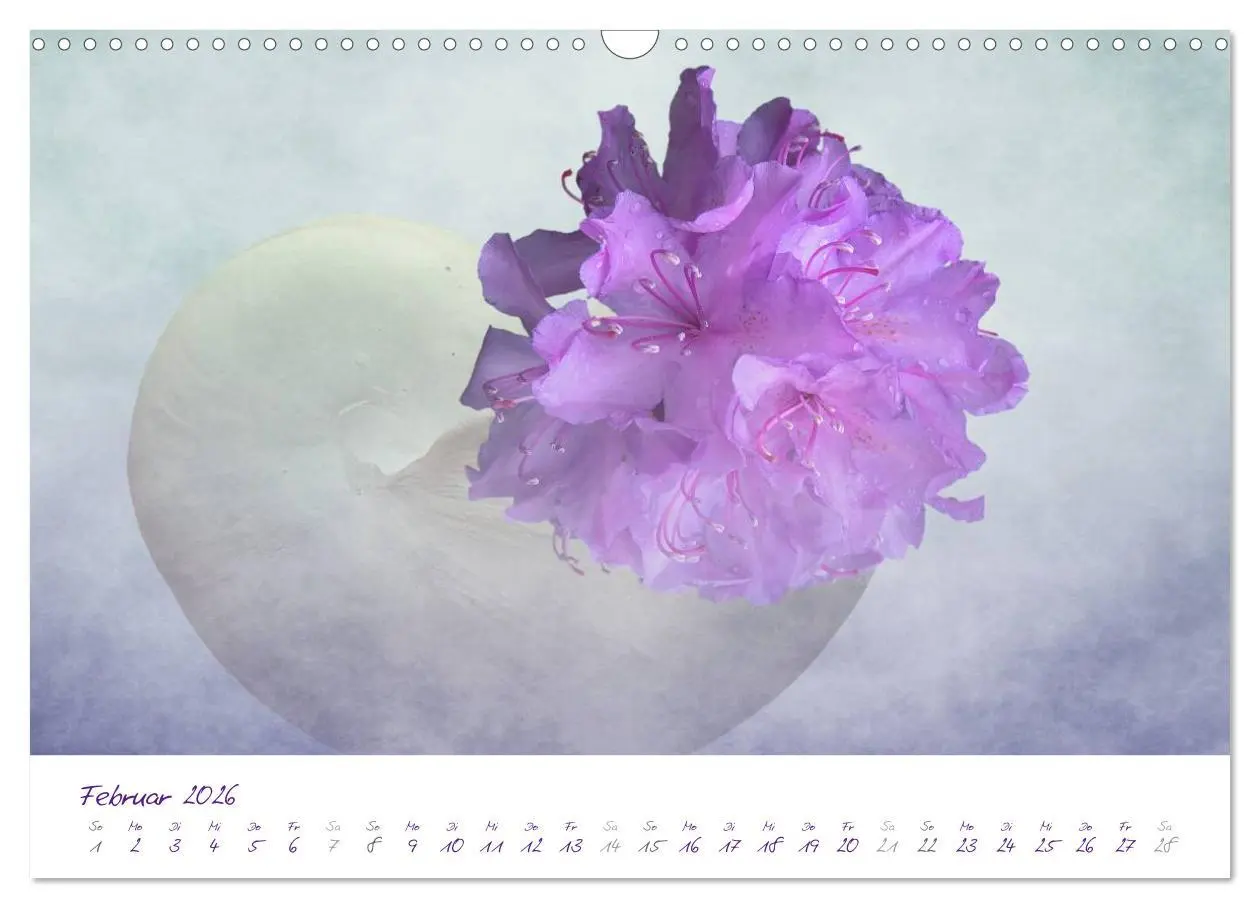 Bild: 9783516227338 | Lila Blüten (Wandkalender 2026 DIN A3 quer), CALVENDO Monatskalender
