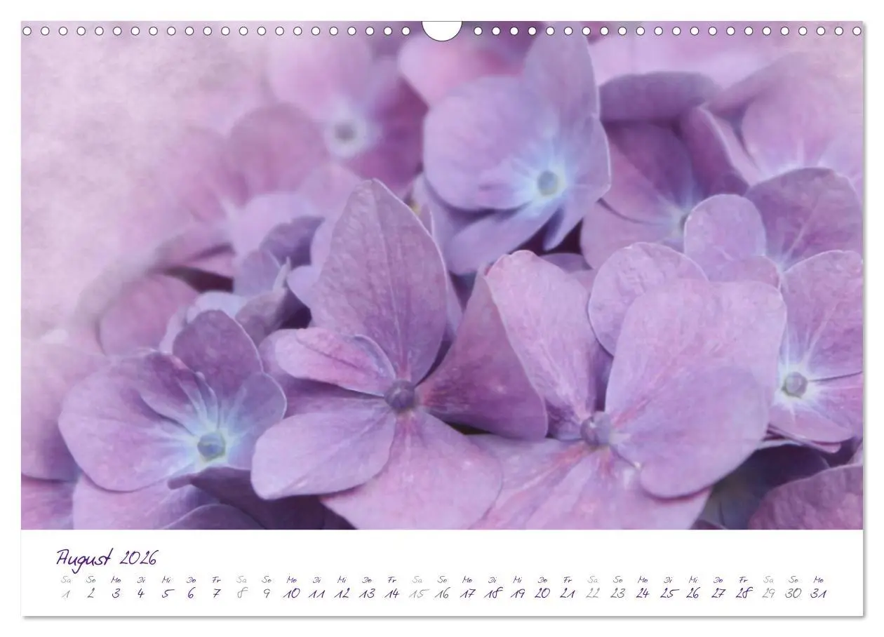 Bild: 9783516227338 | Lila Blüten (Wandkalender 2026 DIN A3 quer), CALVENDO Monatskalender