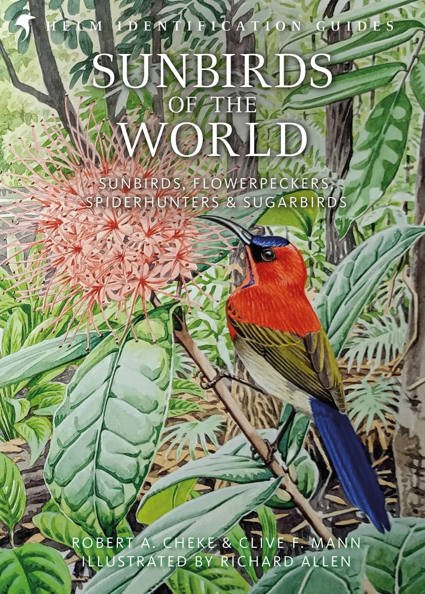 Cover: 9781472937438 | Sunbirds of the World | Clive F Mann (u. a.) | Buch | Englisch | 2025