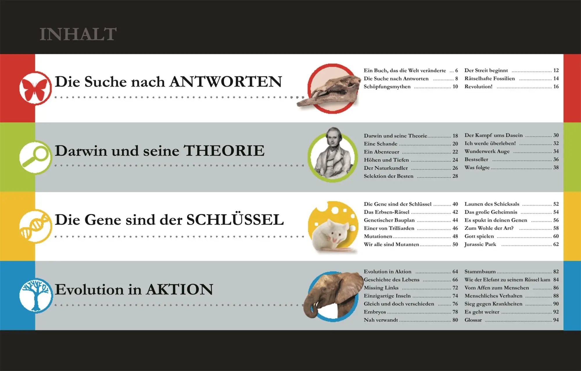 Bild: 9783831037438 | Darwins Abenteuer und die Geschichte der Evolution | Robert Winston