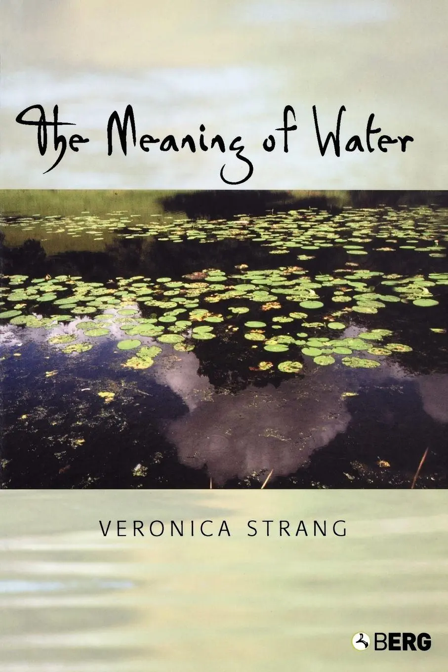 Cover: 9781859737538 | The Meaning of Water | Veronica Strang | Taschenbuch | Englisch | 2004