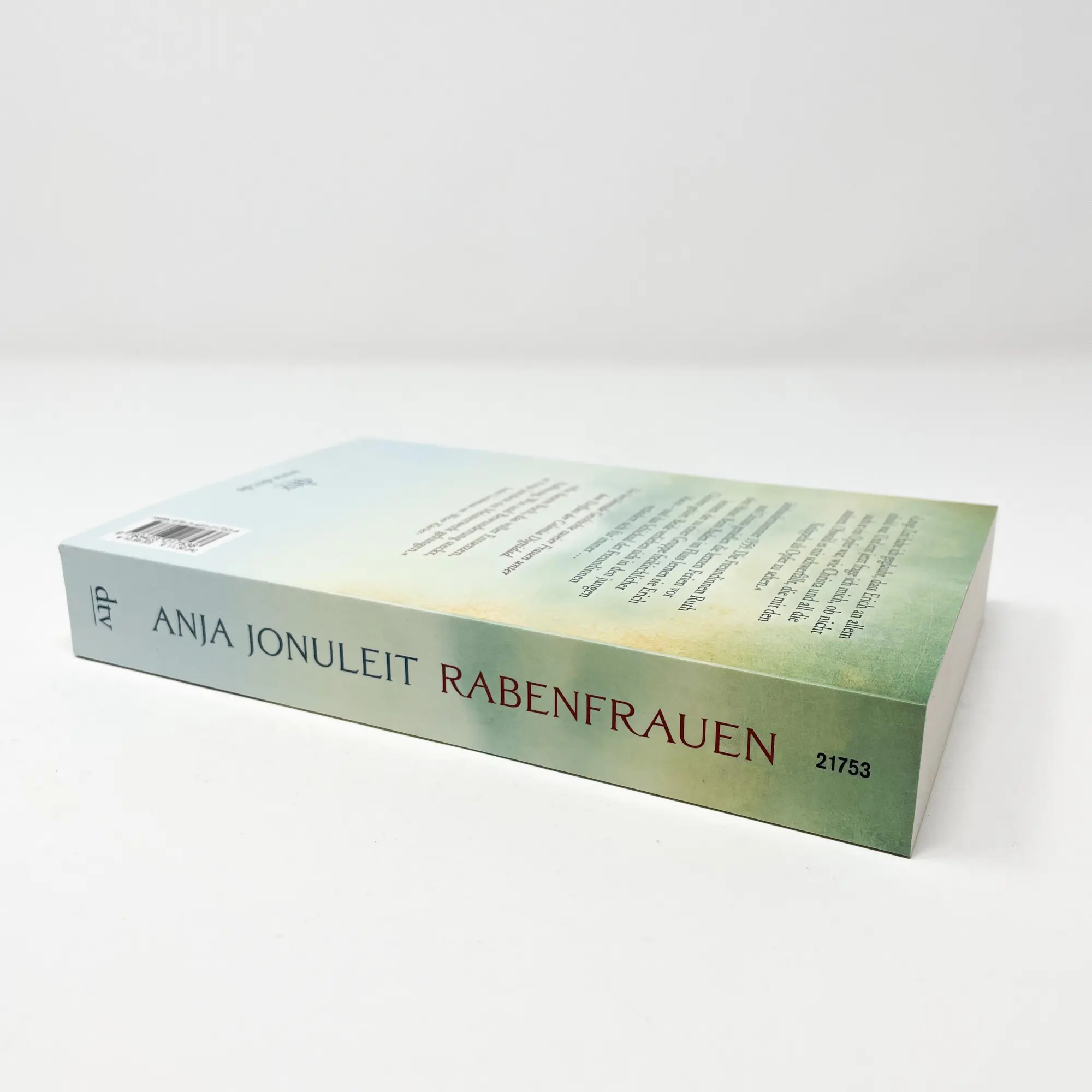 Bild: 9783423217538 | Rabenfrauen | Anja Jonuleit | Taschenbuch | 400 S. | Deutsch | 2018