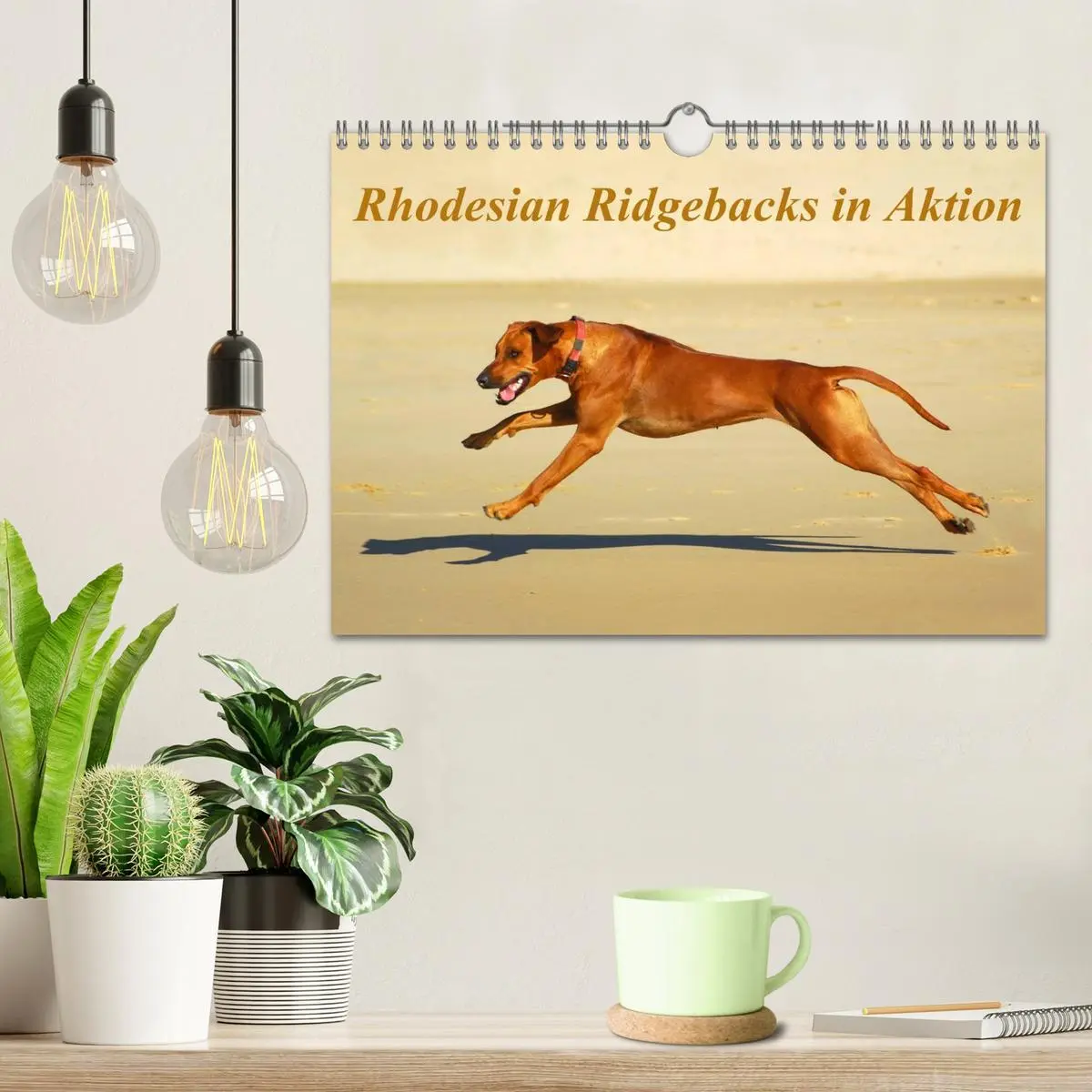 Bild: 9783516067538 | Rhodesian Ridgebacks in Aktion (Wandkalender 2026 DIN A4 quer),...