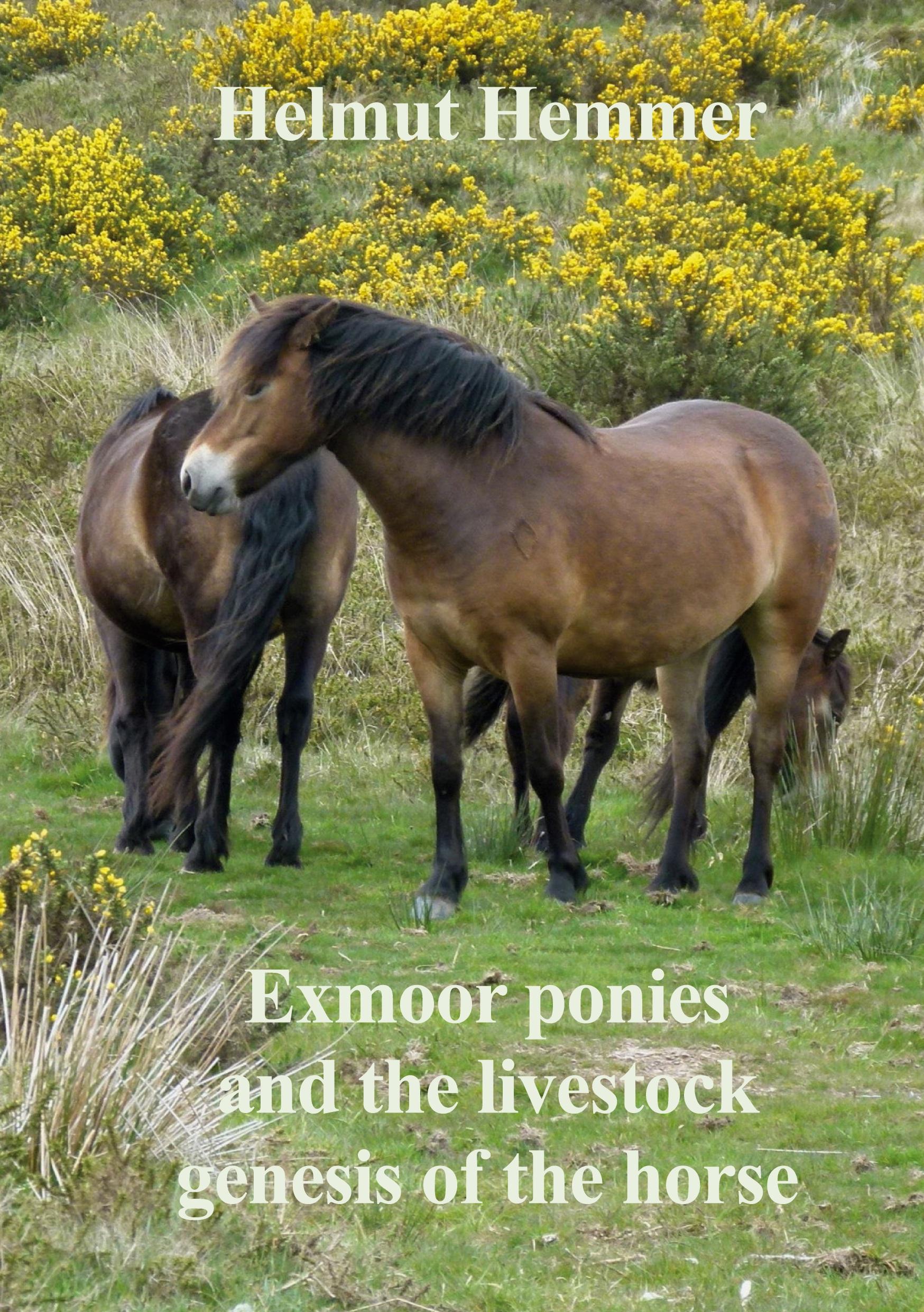 Cover: 9783759787538 | Exmoor ponies and the livestock genesis of the horse | Helmut Hemmer