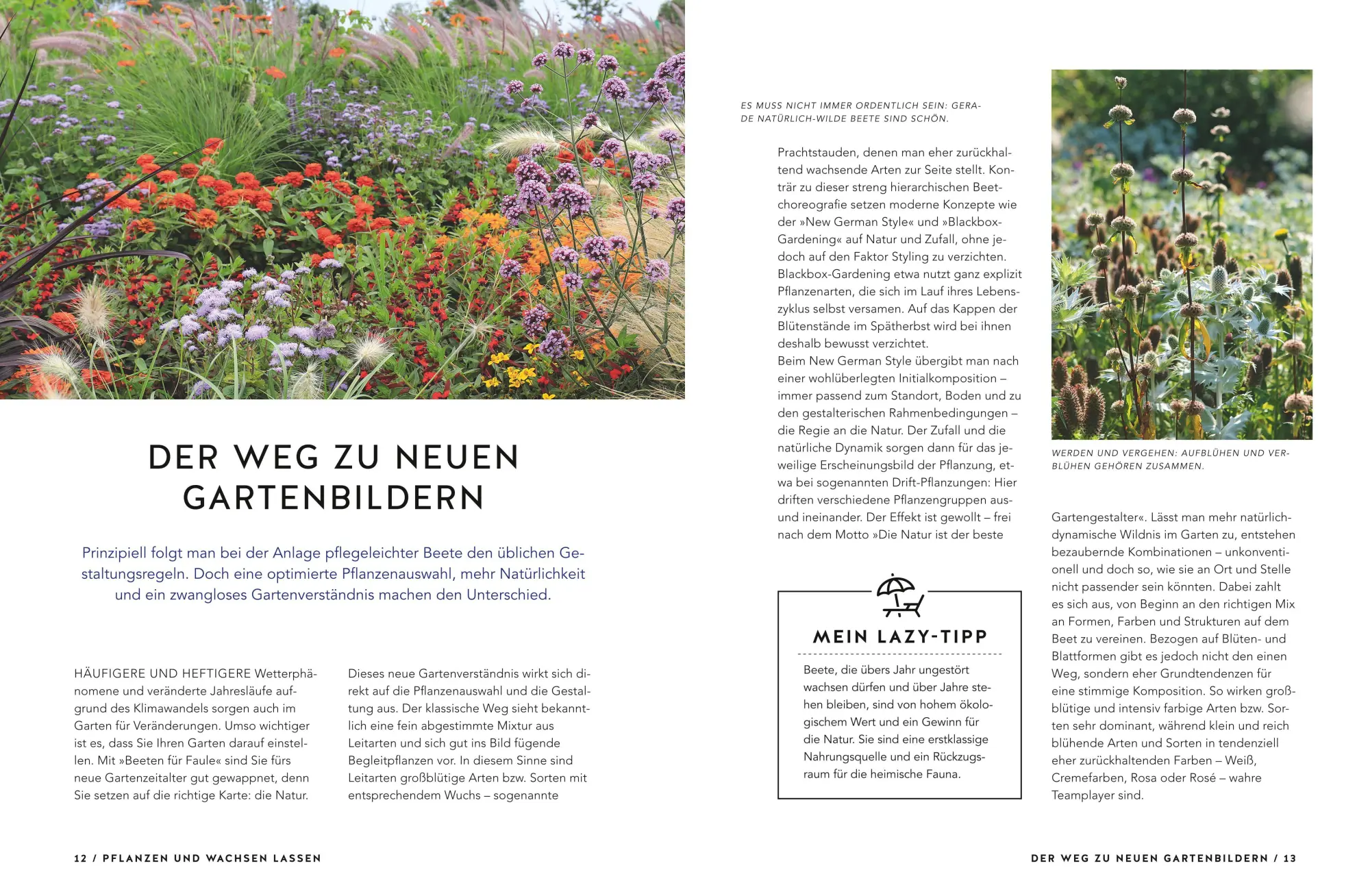 Bild: 9783833867538 | Schöne Beete für Faule | Lars Weigelt | Taschenbuch | GU Garten extra