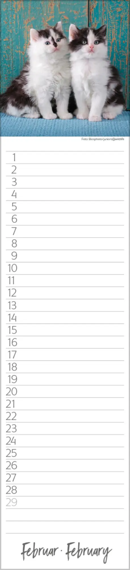 Bild: 9783731887638 | Geburtstags-Langplaner Cats | Verlag Korsch | Kalender | 13 S.