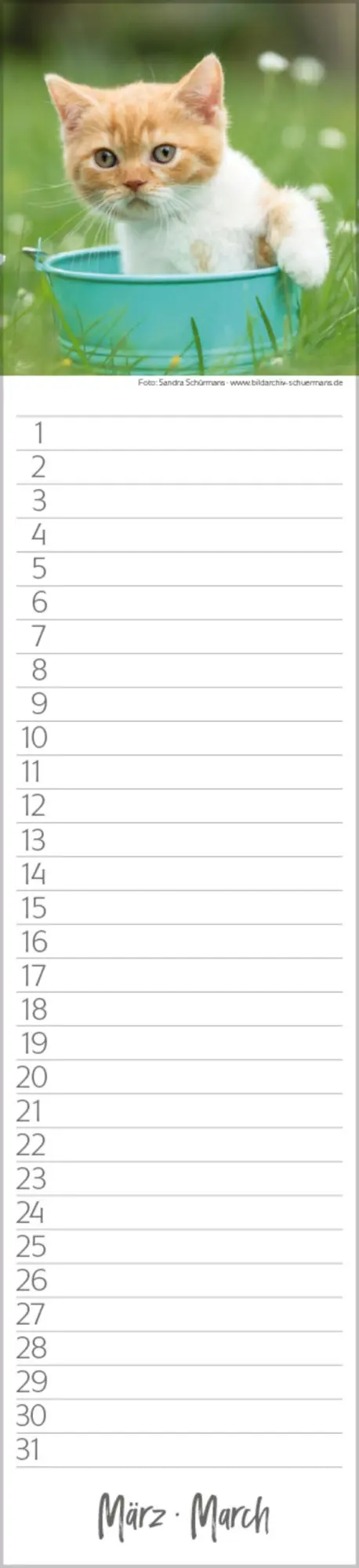 Bild: 9783731887638 | Geburtstags-Langplaner Cats | Verlag Korsch | Kalender | 13 S.
