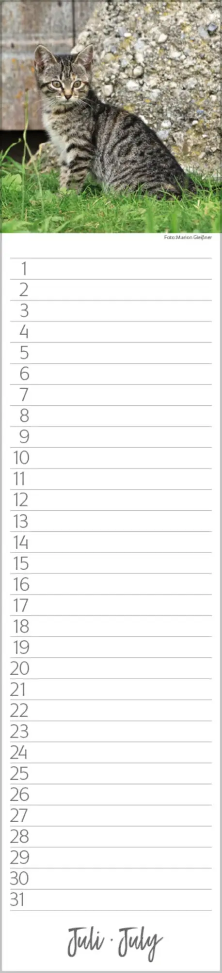 Bild: 9783731887638 | Geburtstags-Langplaner Cats | Verlag Korsch | Kalender | 13 S.