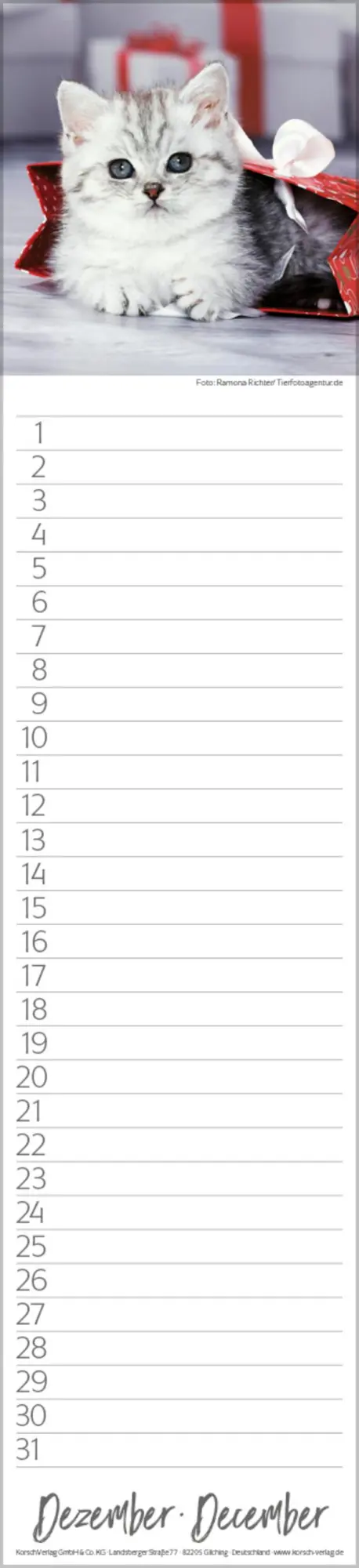 Bild: 9783731887638 | Geburtstags-Langplaner Cats | Verlag Korsch | Kalender | 13 S.
