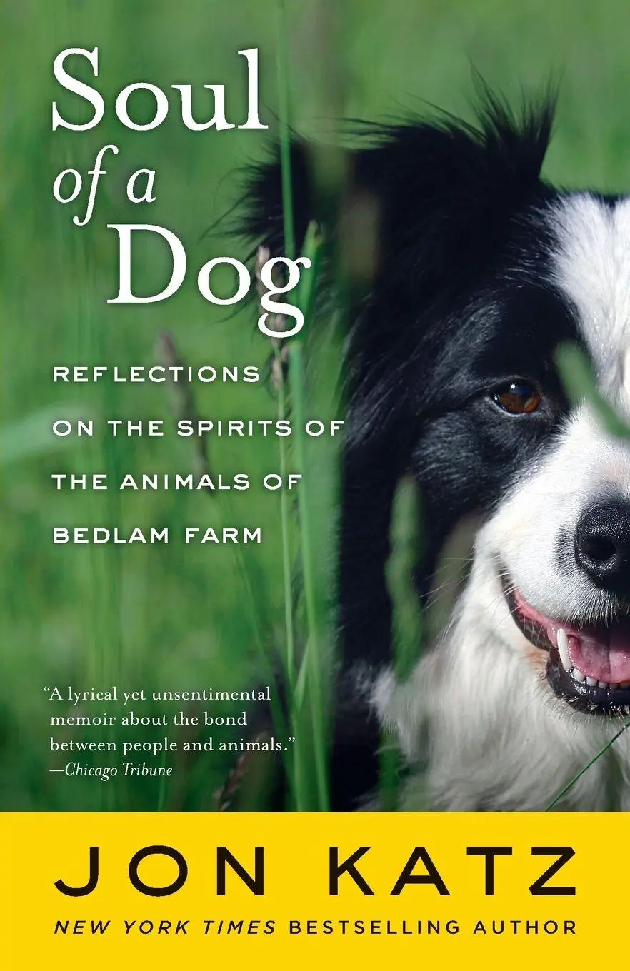 Cover: 9780812977738 | Soul of a Dog | Jon Katz | Taschenbuch | Einband - flex.(Paperback)