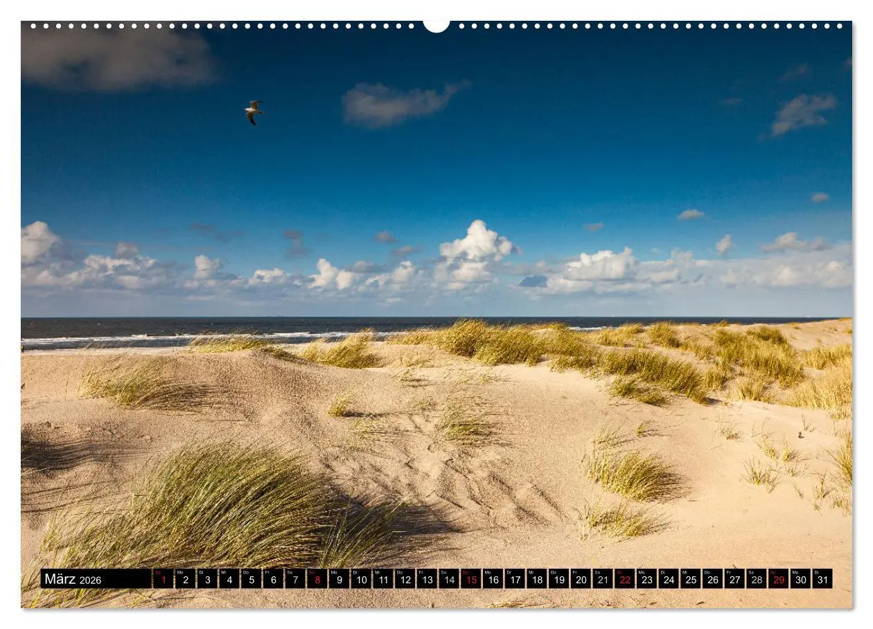 Bild: 9783457267738 | Insel Spiekeroog (Wandkalender 2026 DIN A2 quer), CALVENDO...
