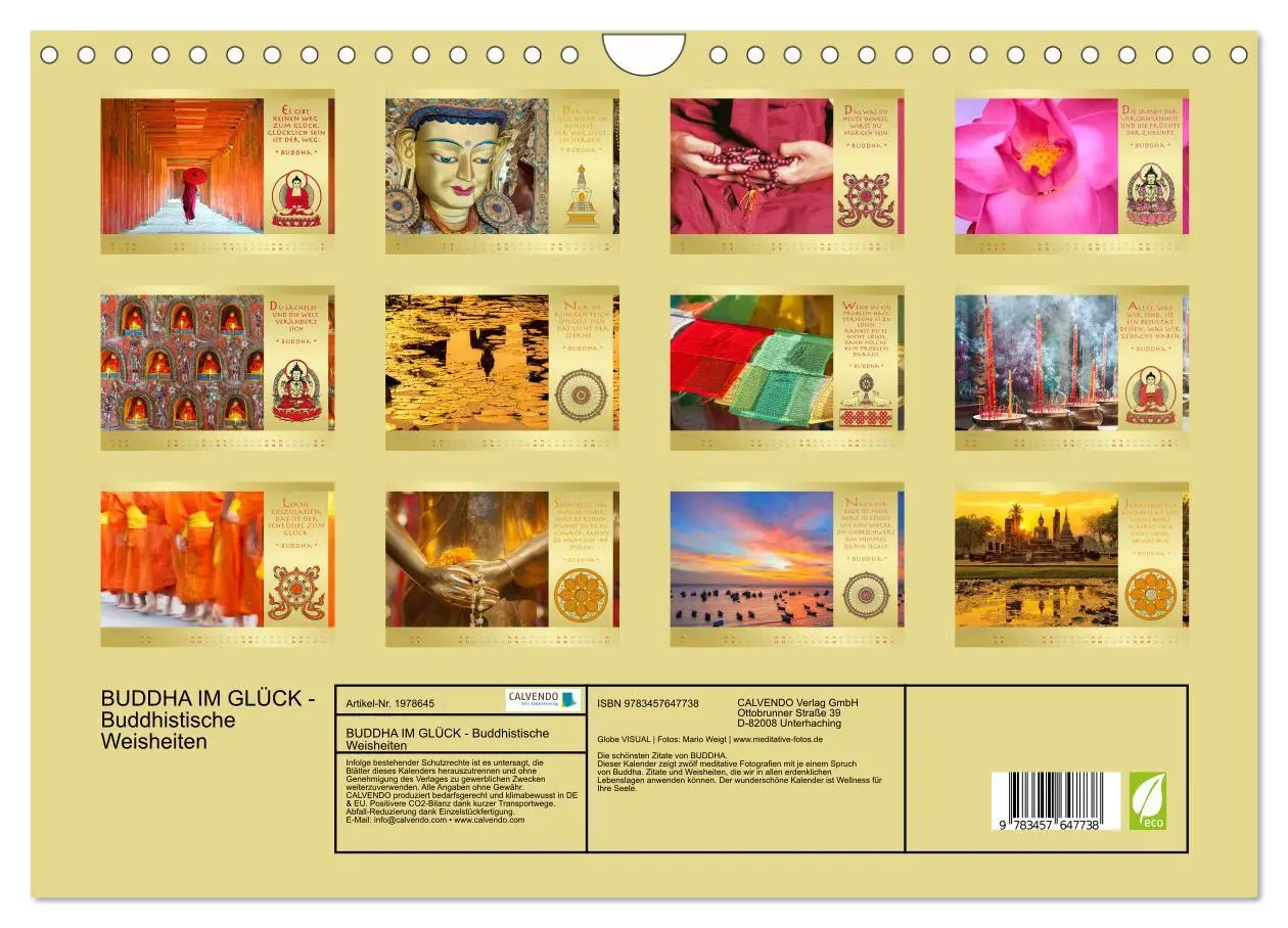 Bild: 9783457647738 | BUDDHA IM GLÜCK - Buddhistische Weisheiten (Wandkalender 2026 DIN...