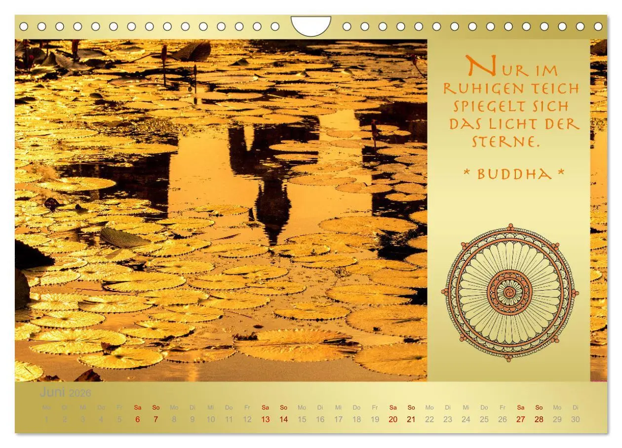 Bild: 9783457647738 | BUDDHA IM GLÜCK - Buddhistische Weisheiten (Wandkalender 2026 DIN...