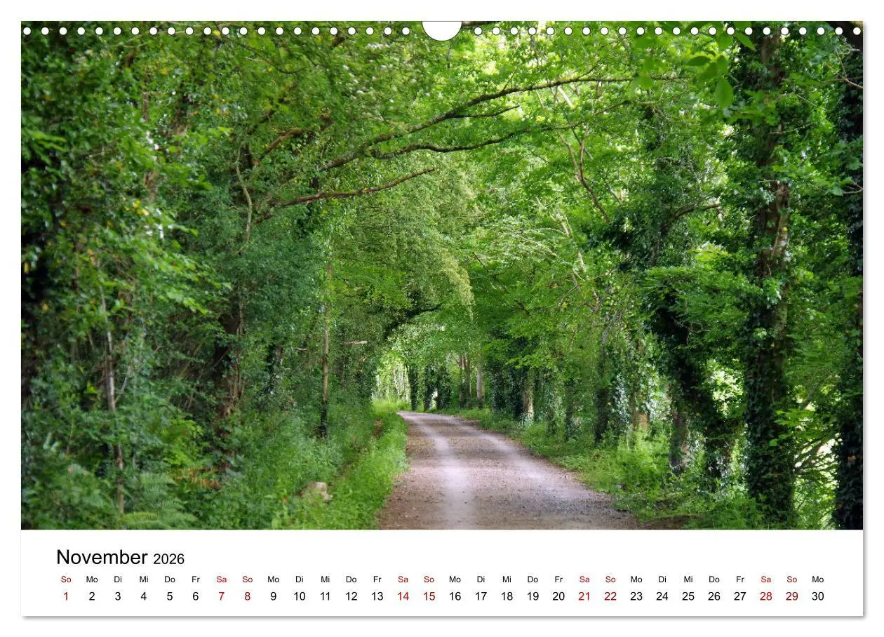 Bild: 9783457887738 | Cornwall und Wales (Wandkalender 2026 DIN A3 quer), CALVENDO...
