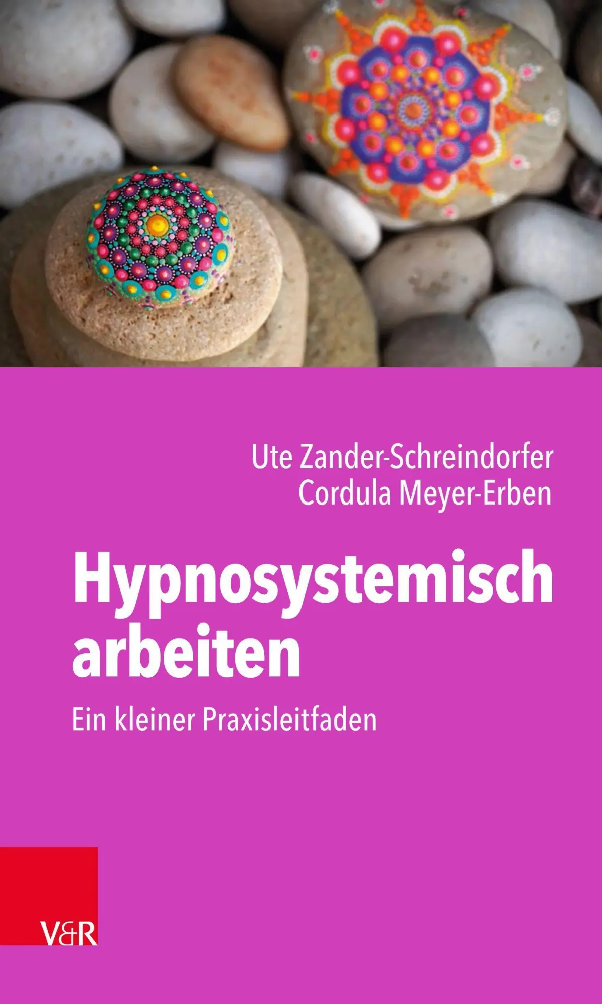 Cover: 9783525407738 | Hypnosystemisch arbeiten: Ein kleiner Praxisleitfaden | Taschenbuch