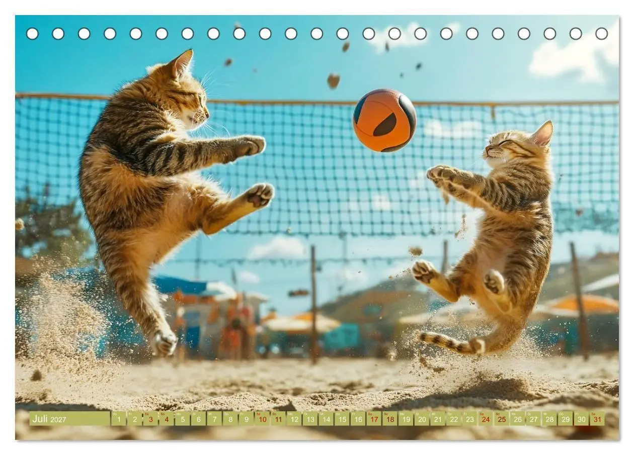 Bild: 9783569067738 | Lustige Sportarten für Katzen (Tischkalender 2027 DIN A5 quer),...