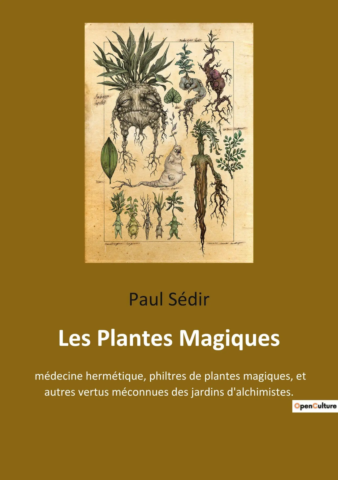 Cover: 9782385087838 | Les Plantes Magiques | Paul Sédir | Taschenbuch | Französisch | 2022