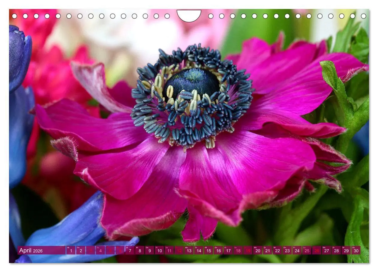 Bild: 9783457257838 | Blumen - Eine bunte Mischung (Wandkalender 2026 DIN A4 quer),...