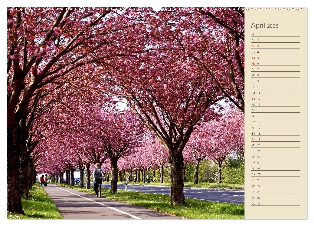 Bild: 9783457947838 | Magdeburg an der Elbe 2026 (Wandkalender 2026 DIN A2 quer),...