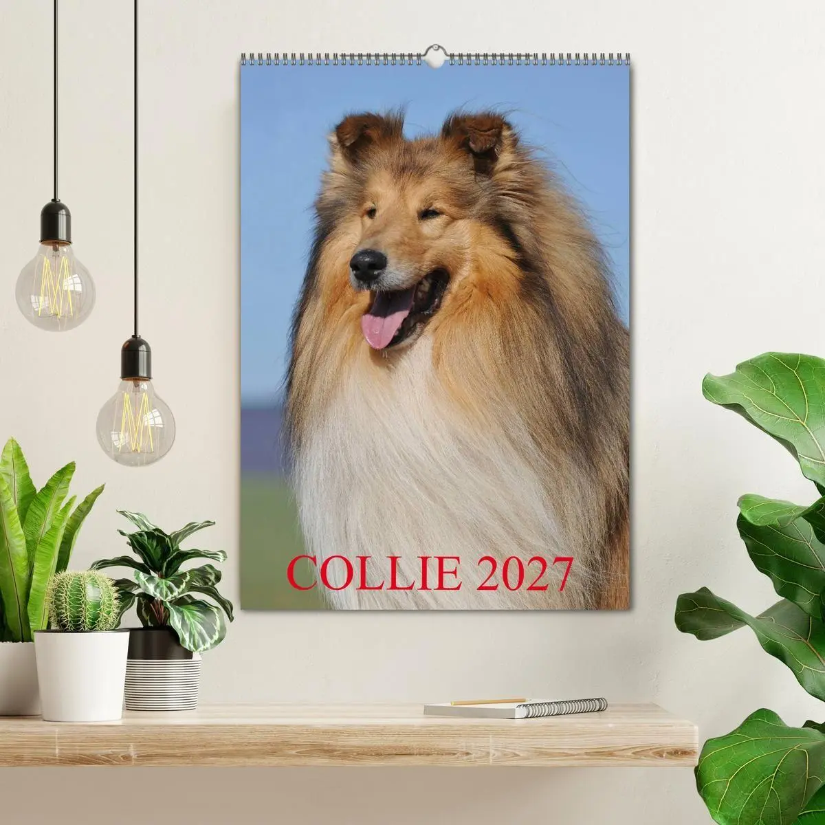 Bild: 9783594187838 | Collie 2027 (Wandkalender 2027 DIN A2 hoch), CALVENDO Monatskalender