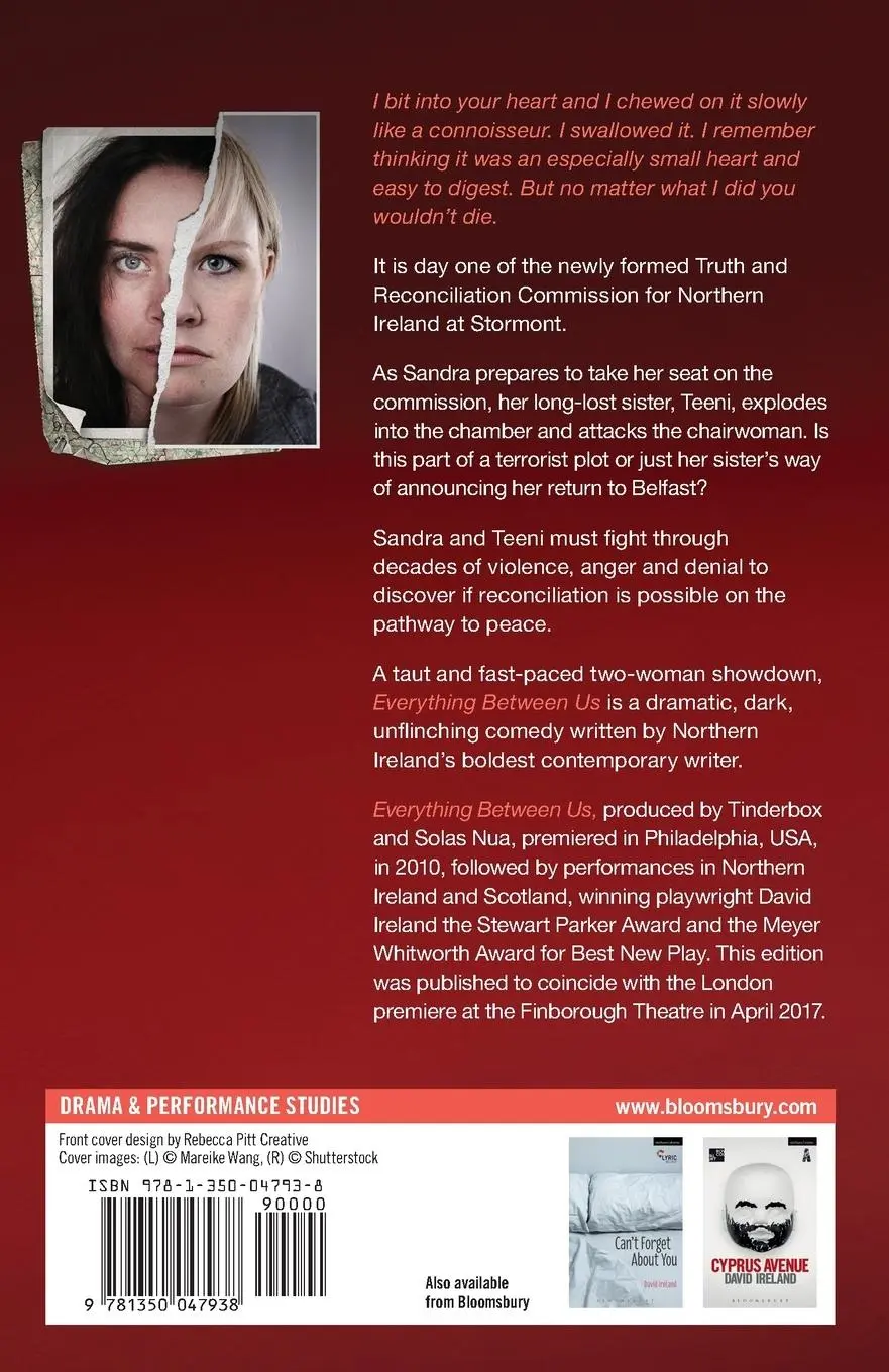 Rückseite: 9781350047938 | Everything Between Us | David Ireland | Taschenbuch | Englisch | 2017