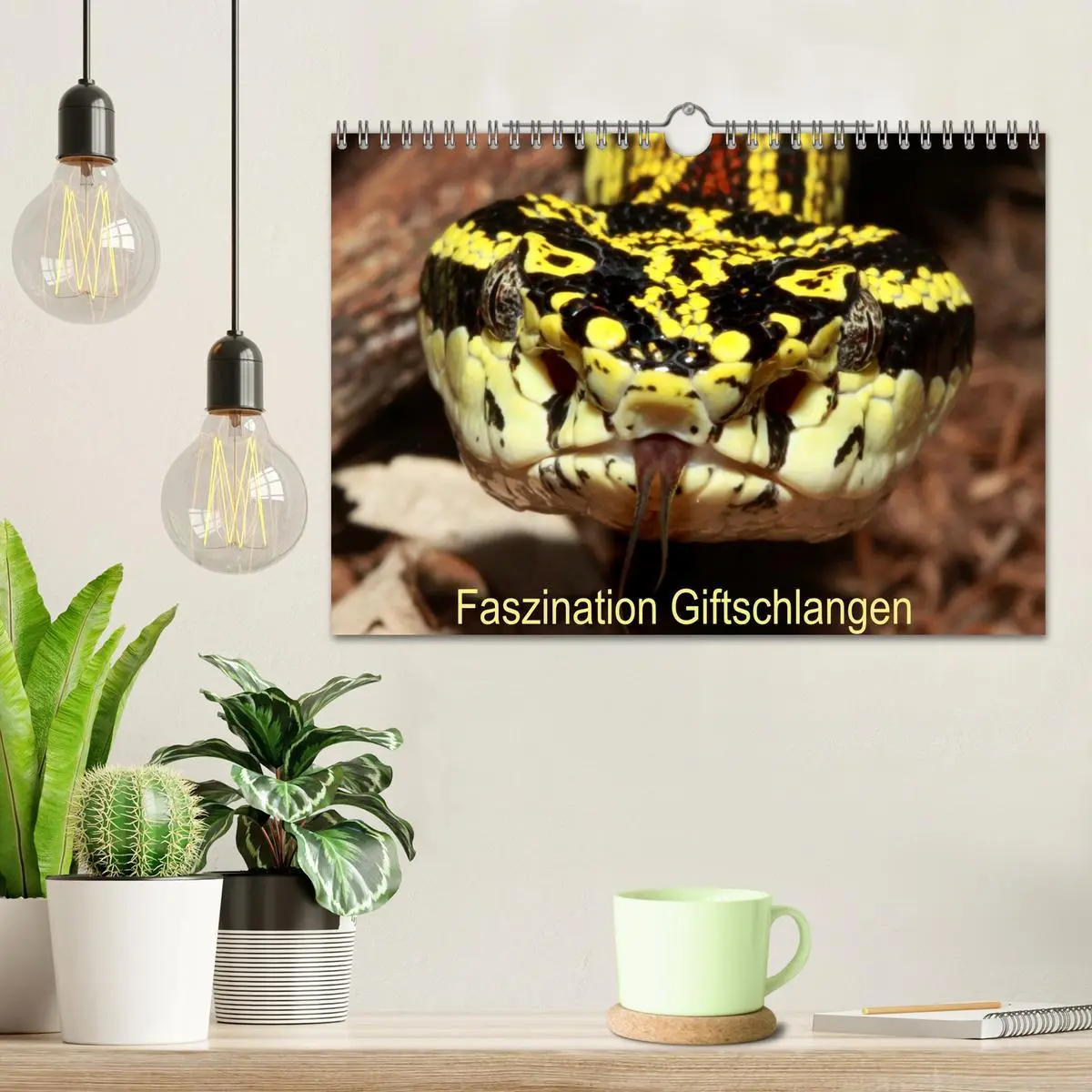 Bild: 9783457317938 | Faszination Giftschlangen (Wandkalender 2026 DIN A4 quer), CALVENDO...